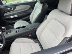 Used 2024 Ford Mustang EcoBoost Fastback at Suburban Ford of Sterling Heights near Sterling Heights, MI