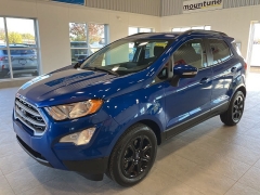 Used 2020  Ford EcoSport 4d SUV FWD SE at Maxx Loans near St. Adrian, MI