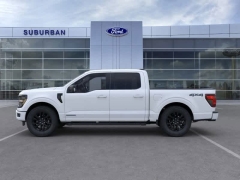 New 2025 Ford F-150 XLT 4WD SuperCrew Box at Suburban Ford of Sterling Heights near Sterling Heights, MI