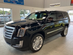 Used 2019  Cadillac Escalade 4d SUV 4WD Platinum at Maxx Loans near St. Adrian, MI