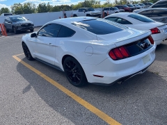 Used 2015  Ford Mustang 2dr Fastback EcoBoost at Maxx Loans near St&period; Adrian&comma; MI