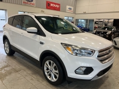 Used 2019  Ford Escape 4d SUV 4WD SE at Maxx Loans near St. Adrian, MI