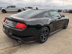 Used 2022 Ford Mustang EcoBoost Fastback at Suburban Ford of Sterling Heights near Sterling Heights, MI