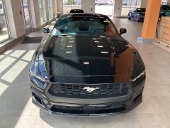 Used 2024 Ford Mustang EcoBoost Fastback at Maxx Loans near ,