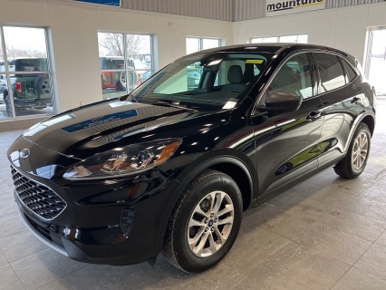 2022 Ford Escape SE's photo