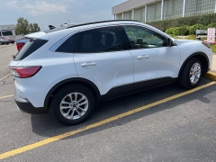 Used 2020 Ford Escape 4d SUV FWD SE at Suburban Ford of Sterling Heights near Sterling Heights, MI