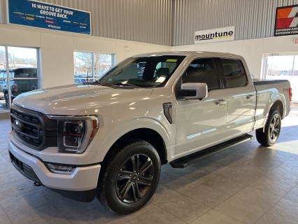 2021 Ford F-150 Lariat's photo