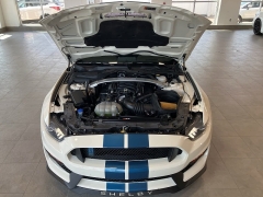 Used 2020 Ford Mustang Shelby Fastback at Suburban Ford of Sterling Heights near Sterling Heights, MI