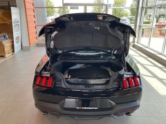 Used 2024 Ford Mustang EcoBoost Fastback at Maxx Loans near ,