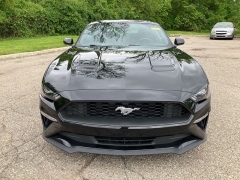 Used 2022 Ford Mustang EcoBoost Fastback at Suburban Ford of Sterling Heights near Sterling Heights, MI