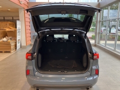 Used 2023 Ford Escape ST-Line FWD at Maxx Loans near St. Adrian, MI