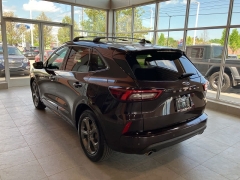 Used 2023 Ford Escape ST-Line FWD at Maxx Loans near ,