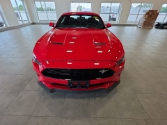Used 2019  Ford Mustang GT Fastback at Maxx Loans near St&period; Adrian&comma; MI
