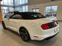 Used 2019  Ford Mustang EcoBoost Convertible at Maxx Loans near St. Adrian, MI