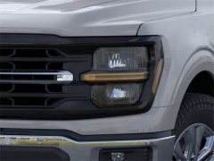 New 2024 Ford F-150 XLT 4WD SuperCrew Box at Suburban Ford of Sterling Heights near Sterling Heights, MI