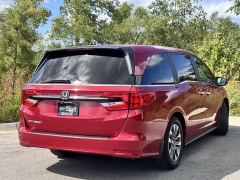 Used 2022 Honda Odyssey EX-L Auto at Maxx Loans near St. Adrian, MI