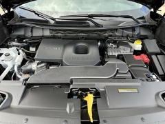 New 2025 Nissan Murano AWD SL at Zeigler Nissan of Orland Park near Orland Park, IL