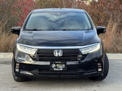 Used 2023  Honda Odyssey Touring Auto at Maxx Loans near St. Adrian, MI