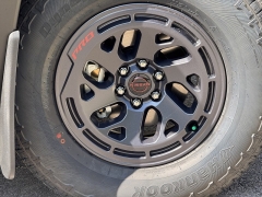 New 2025 Nissan Frontier Crew Cab 4x4 PRO-4X at Zeigler Nissan of Orland Park near Orland Park, IL