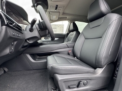 New 2025 Nissan Murano AWD SL at Zeigler Nissan of Orland Park near Orland Park, IL