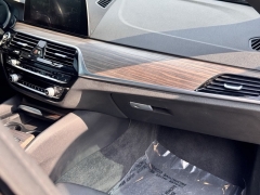 Used 2019 BMW 5 Series 530i xDrive Sedan at Maxx Loans near St. Adrian, MI